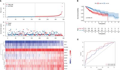 Identification of DNA repair gene signature and potential molecular subtypes in hepatocellular carcinoma